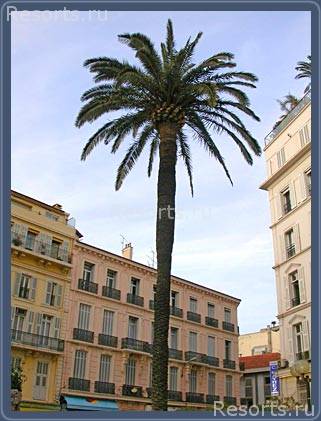 Hotel La Villa Tosca 4